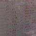 Nishiidu_20130723_02