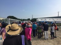 masiki_20160723_01