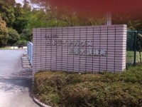 日本ライトハウス盲導犬訓練所