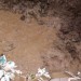 丹波大雨土砂災害ボランティア　4th03