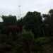 25ｔｈ（南相馬市小高区）04