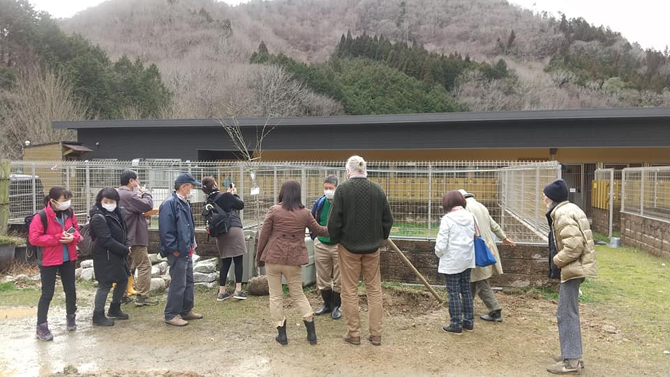 英 協会 日